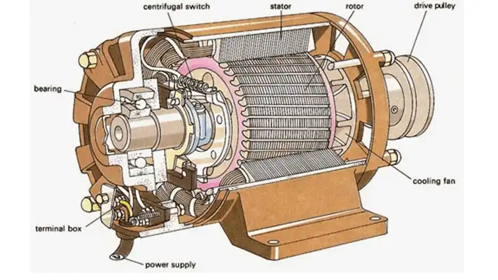 AC Asynchronous Motor.webp